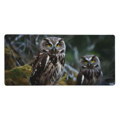 NONHAI Large Gaming Mousepad with Non-Slip Rubber Base Extended Laptop Desk Pad 35.5x16 inch Long Computer Keyboard MouseMat Wild Owl Birds Mousepad for Home Office Work