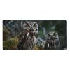 NONHAI Large Gaming Mousepad with Non-Slip Rubber Base Extended Laptop Desk Pad 35.5x16 inch Long Computer Keyboard MouseMat Wild Owl Birds Mousepad for Home Office Work view 1