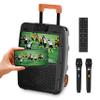Altec Lansing SoundRover View Portable Outdoor TV & Bluetooth Speaker 14" view 1