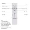PGMTDEFXJO AC185-265V Intelligent Remote Control Power Supply 230mA Constant Current LED Driver Lamp 220V for Chandelier (Color : 40-60w 8) view 3