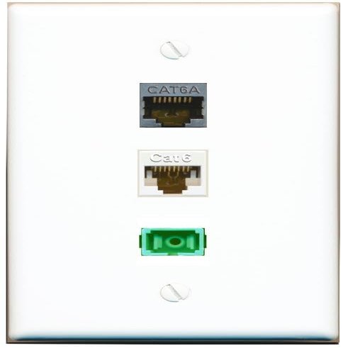 RiteAV - CAT6 CAT6A SC-APC Singlemode Simplex Wall Plate Flat White