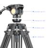 Kadxyan 76" Pro Video Tripod, Heavy Duty Aluminum Alloy Camera Tripod Stand, with 360 Degree Fluid, Height Adjustable, Camcorder Head, Quick Release Plate, for DSLR Camera, Telephoto Camera view 3