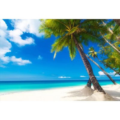 YongFoto 9x6ft Beach Palm Tree Backdrop Summer Island Seaside Hawaiian Seashore Waterside Blue Sky Ocean Wave Sunbathing Photography Background Birthday Party Bridal Shower Photo Props Polyester