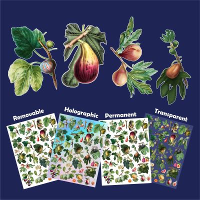 Stickers Pack (Over 150 Stickers) Orchard Treasures: Diverse Assembly of Exquisite Figs, Berries, and Stone Fruits - Botanical Illustration Series ~ Removable White Vinyl Hologram Transparent
