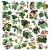 Stickers Pack (Over 150 Stickers) Orchard Treasures: Diverse Assembly of Exquisite Figs, Berries, and Stone Fruits - Botanical Illustration Series ~ Removable White Vinyl Hologram Transparent view 3
