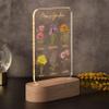 Lily's Atelier Gifts for Mom, Grandma, Custom Engraved Night Light with Kids' Names, Text & Birthflowers for Mother - Custom Grandma's Garden Gifts, Mothers Day Gifts from Daughter, Son, 1 Flower view 4
