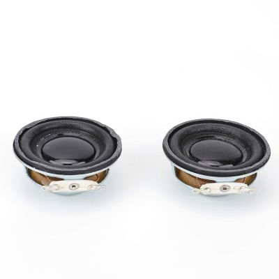DirectNine Basics 2psc 3W 4 Speaker Horn Audio Stereo Loudspeaker 4cm for Mini Amplifier, Genericc74ha8ozny