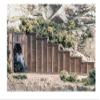 212 Main N Retaining Walls Timber view 1