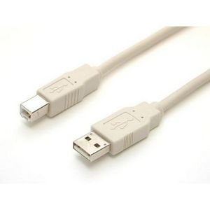 212 Main USB Cable - 10ft - 1 x Type A 1 x Type B - Cable