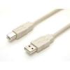 212 Main USB Cable - 10ft - 1 x Type A 1 x Type B - Cable view 1