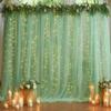 10ft x 10ft Green Backdrop Curtain with Lights String for Parties, Sheer Tulle Wedding Photo Backdrops Drapes for Baby Shower Birthday Party Decorations Background for Photography view 1