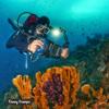 DIVEVOLK SeaTouch 4 MAX Blue Videography Kit for iPhone 12/12 Pro/12 Pro max/13/13 Pro/13 Pro max/14/14 Pro/14 Pro max/15/15Pro view 4