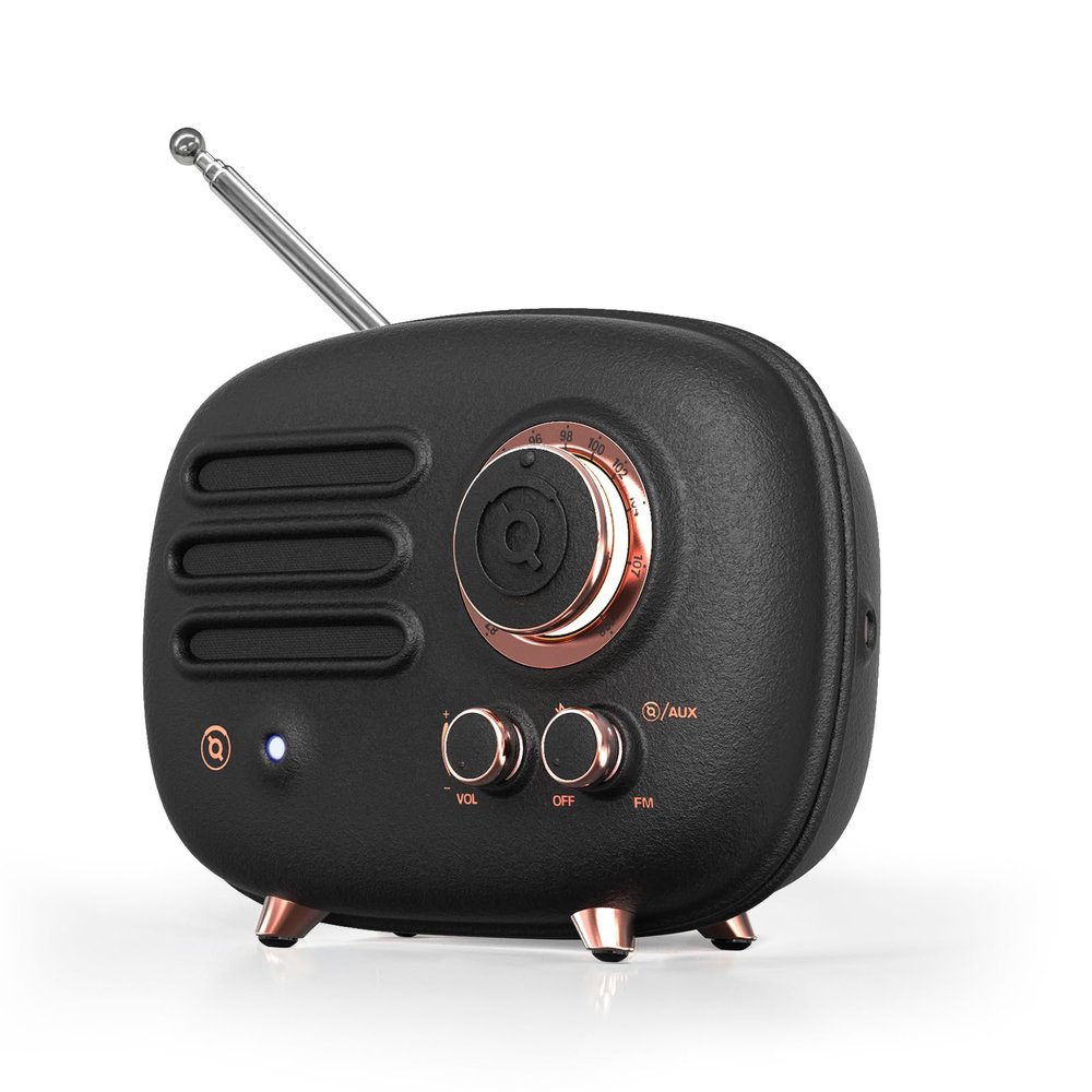 Muzen Radio Bluetooth Speaker, Wild Radiooo Small Metal Radio, Portable Wireless Speakers, Rechargable FM Radio, Metal Outer Case, FM/AUX Cable Antenna, Mini Retro Decor for Room Office