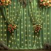 10x10ft Olive Green Backdrop Curtains with Lights Photo Drapes Wrinkle Free Fabric Backdrop Curtain for Wedding Birthday Party Baby Shower Bridal Shower Home Party Background Decorations view 1