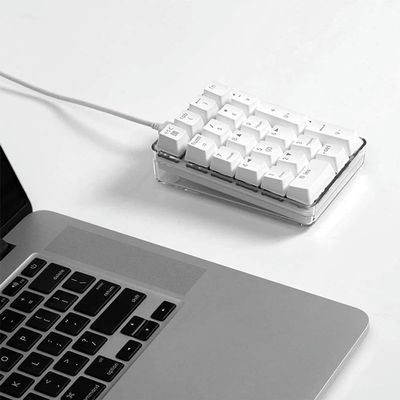 DirectNine Basics for Mechanical Numeric Keypad Brown Switch Wired Gaming Keypad White Backlit 21 Keys Mini Numpad Keypad, 6924023135607