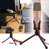 RhLLvJ Computer Video Voice Microphone with Stand Mobile Phone Live Microphone Singing Wired Condenser Microphone (Color : Gold) view 1