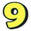 Giant Magnetic Numbers 10" 16" - Bright Yellow with Green Border - .024 Magnetic Material for Mailbox Number, Vehicle Numbers, Garage Door Address Signs, Metal Surface Signage, Number 9 - Pack of 1 view 1