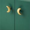 LEIXIUSM Brass Drawer Pulls Lovely Room Bedroom Decor Cabinet Handles Gold Furniture Hardware Kitchen Accessories 1Pcs view 1