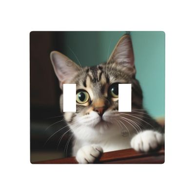 2-Gang Toggle Switch Wall Plates A Curious Cat Printing Double Toggle Electrical Faceplate Double Gang Toggle Light Switch Covers Impact Resistant Polycarbonate Standard Size 4.5 X 4.5