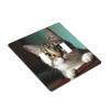 2-Gang Toggle Switch Wall Plates A Curious Cat Printing Double Toggle Electrical Faceplate Double Gang Toggle Light Switch Covers Impact Resistant Polycarbonate Standard Size 4.5 X 4.5 view 3