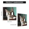 2-Gang Toggle Switch Wall Plates A Curious Cat Printing Double Toggle Electrical Faceplate Double Gang Toggle Light Switch Covers Impact Resistant Polycarbonate Standard Size 4.5 X 4.5 view 4