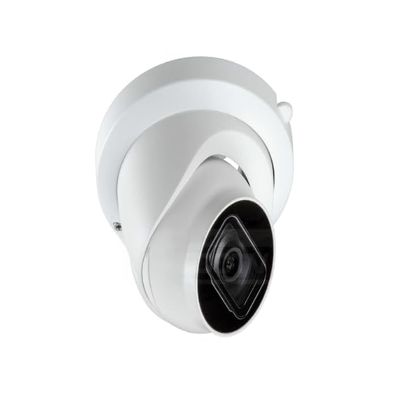 DirectNine Basics 1080p Motion Detection Black and White Metal Outdoor Security Camera Turret with AI and AcuPick, NIU-EA80D1-AW28