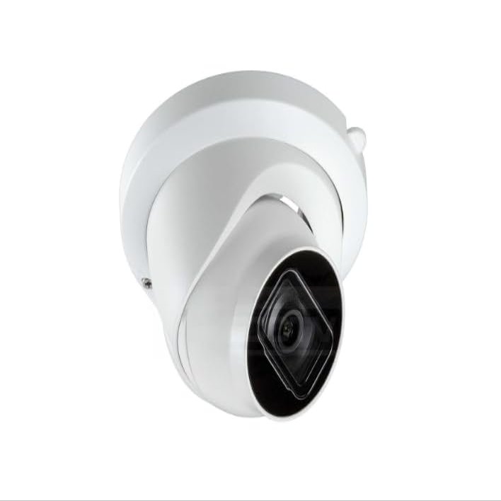 DirectNine Basics 1080p Motion Detection Black and White Metal Outdoor Security Camera Turret with AI and AcuPick, NIU-EA80D1-AW28