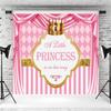 10x8ft Baby Shower Backdrop A Little Princess is on Her Way Pink Gold Crown Photography Background Girls Baby Shower Party Decoration Supplies Photo Booth Props Banner view 3