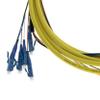 COMZON 6 Strand Fiber Distribution Pigtail, Singlemode, LC/UPC Connectors, Blue Boots, 9.8 Feet (3 Meter) - Low Insertion Loss view 4