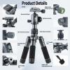 SIRUI Compact Mini Desktop Tripod, 20" Aluminum Portable Small Tabletop Tripod Stand with 360 Ball Head for DSLR, Camera, Phone, Loaded up to 17.64lbs, Phone Holder Included, AM-TT50 view 2