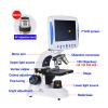 JKSVTF Microscope for Kids Students Adults Microscope,7-in LCD TV Version Microscope 2000X Zoom Digital HD Coaxial Fine-Tuning Biological Lab LED view 2