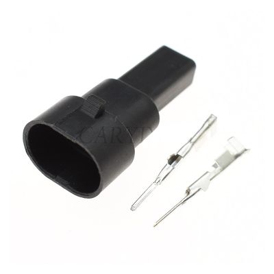 TakenE 1 Set 2 Pin Male Female Water Temperature Sensor Plug Automobile Waterprof Connector 12162197 12162195 12162193 (Color : Male Set)