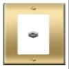[1 Ports] Coax Wall Plate [Brass/White] view 1
