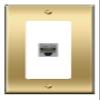[1 Ports] CAT5E-GRAY Wall Plate [Brass/White] view 1