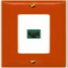 [1 Ports] CAT6-GREEN Wall Plate [Orange-White] view 1