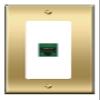[1 Ports] CAT5E-GREEN Wall Plate [Brass/White] view 1
