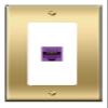 [1 Ports] CAT6-PURPLE Wall Plate [Brass/White] view 1
