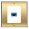 [1 Ports] CAT5E-BLUE Wall Plate [Brass/White] view 1