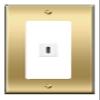 [1 Ports] USBC Wall Plate [Brass/White] view 1