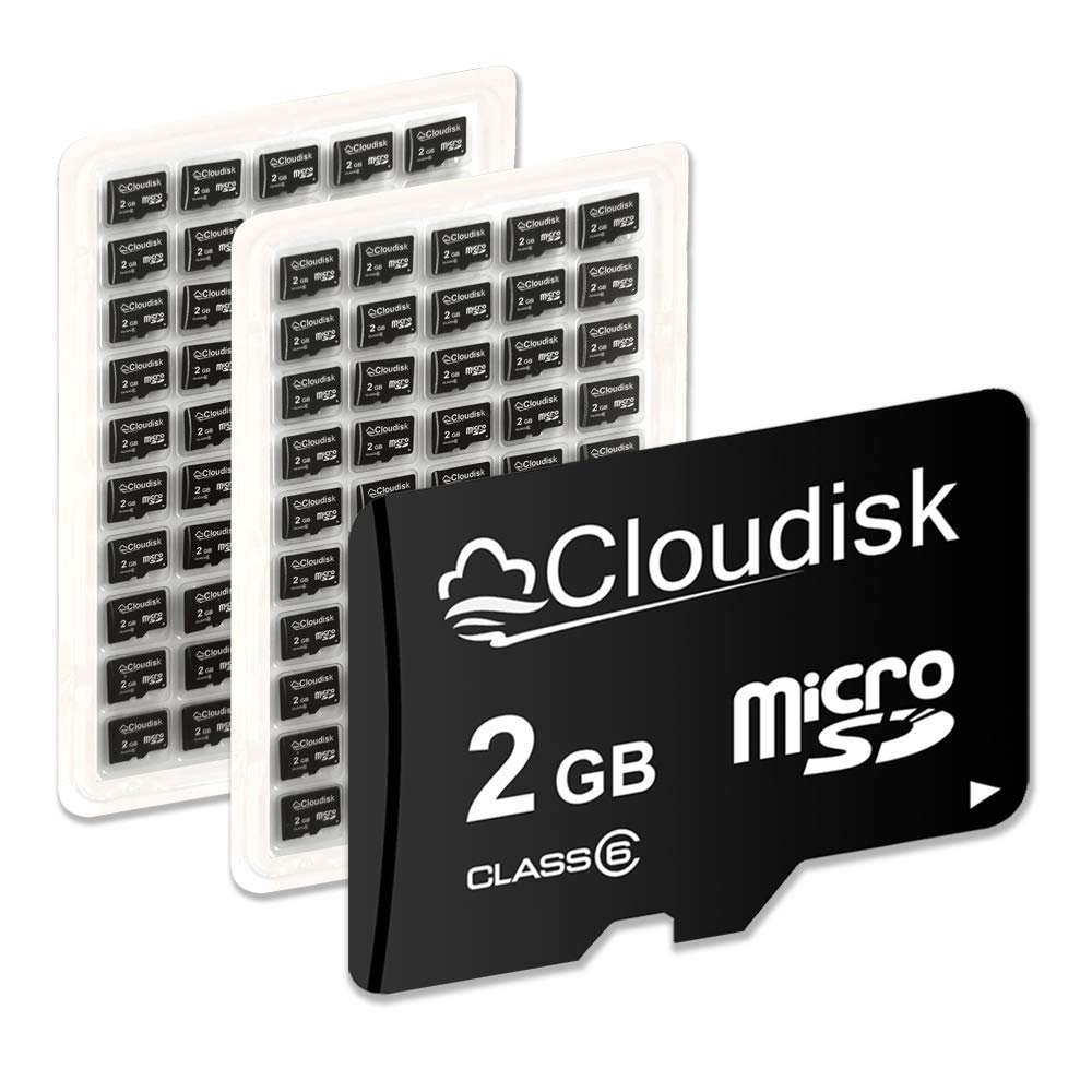 Cloudisk Pack of 100 Micro SD Card 2GB Flash Memory Card C6 (2GB)