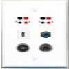 3.5mm RCA-Blue 2 Speaker TOSLINK USBC Flat/Solid Wall Plate [White] view 1
