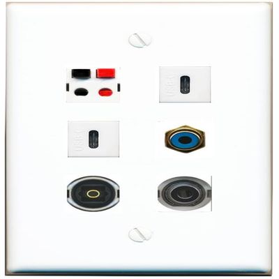 3.5mm RCA-Blue Speaker TOSLINK 2 USBC Flat/Solid Wall Plate [White]