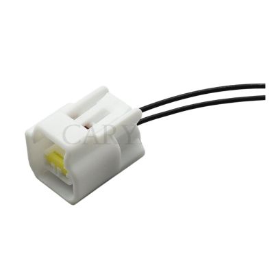 TakenE 1 Set Black Snowy 2 Pin Way Male Female High Voltage Ignition Coil Plug Connector FW-C-2M-B FW-C-2F-B (Color : Female with wire-01)