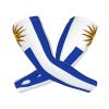 ASYG Uruguay Flag Arm Sleeves Flag Cooling Sports Arm Sleeves Outdoor Sleeves For Women and Men view 2