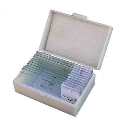 Joebo Microscope Kit 12 Pieces Microscope Slides Glass Biological Microscope Lens Adapters