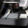 Joebo Microscope Kit 12 Pieces Microscope Slides Glass Biological Microscope Lens Adapters view 3