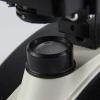 JKSVTF Science Microscope for Beginners Children Student Biological Microscope,X-S- P136V Dual Viewing Head Biological Microscope LED Lamp Students Educational view 2