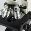 JKSVTF Science Microscope for Beginners Children Student Biological Microscope,X-S- P136V Dual Viewing Head Biological Microscope LED Lamp Students Educational view 3