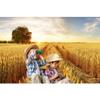 Baocicco 10x7ft Background Field Freshly Bales Harvest Sunset Photography Backdrop Autumn Agriculture Straw Country Harvest Reap Farmland Photo Studio Props Wallpaper Shoot Booth PhotoCall view 2