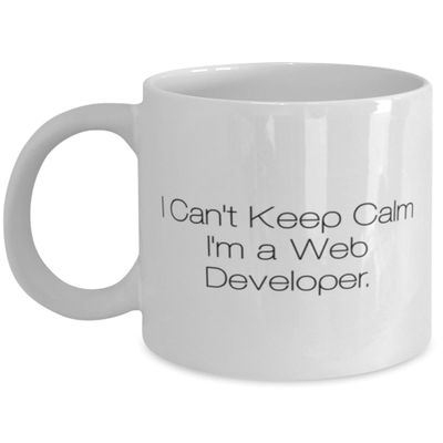 Nice Web developer 11oz 15oz Mug, I Can't Keep Calm I'm a Web Developer, Present For Coworkers, Sarcasm Gifts From Colleagues
